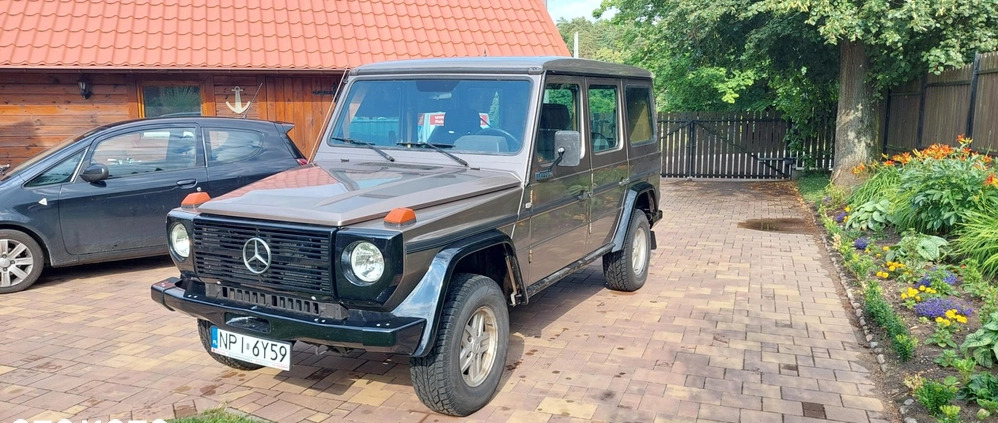 Mercedes-Benz Klasa G cena 69000 przebieg: 233500, rok produkcji 1986 z Ryn małe 92